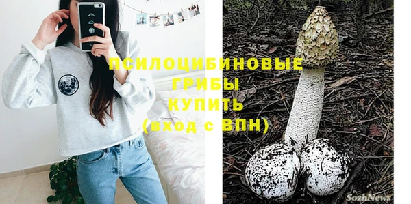 гидра Алексеевка
