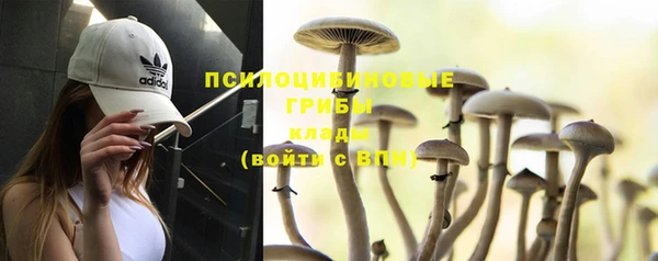 прущая мука Алзамай