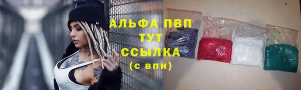 гидра Алексеевка