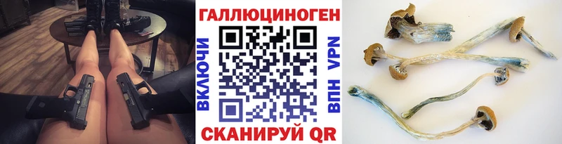 где продают   Кашин  hydra сайт  Псилоцибиновые грибы MAGIC MUSHROOMS 